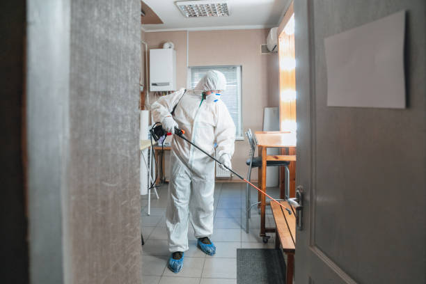 Best Dehumidification Services  in Kenneth City, FL