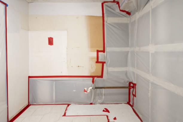 Trusted Kenneth City, FL Mold Removal Experts
