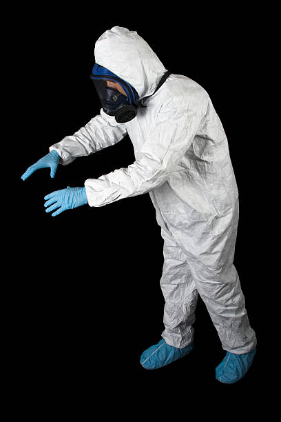 Best Mold Damage Restoration  in Kenneth City, FL