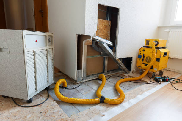 Best Air Quality Testing for Mold Spores  in Kenneth City, FL